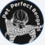 Profile picture of Petperfectbengals2