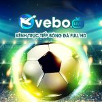 Profile picture of vebotvttbong