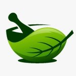 Profile picture of svasthvida