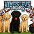Profile picture of kmtreats