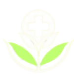 Profile picture of Krishnapharmacy