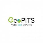 Profile picture of GeoPITS Global Pvt Ltd