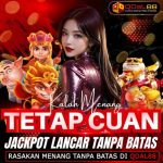 Profile picture of qdal88