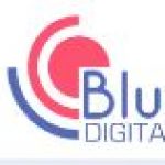 Profile picture of bluechipdigital