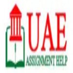 Profile picture of Saeed Al Nuaimi