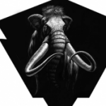 Profile picture of mammothgripexchange